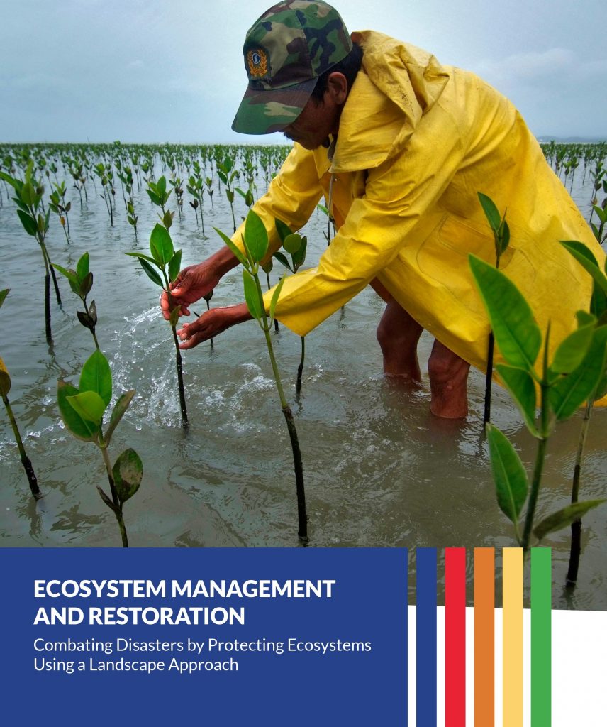 Ecosystem Management & Restoration in Camarines Sur, Compostela Valley, Agusan del Sur